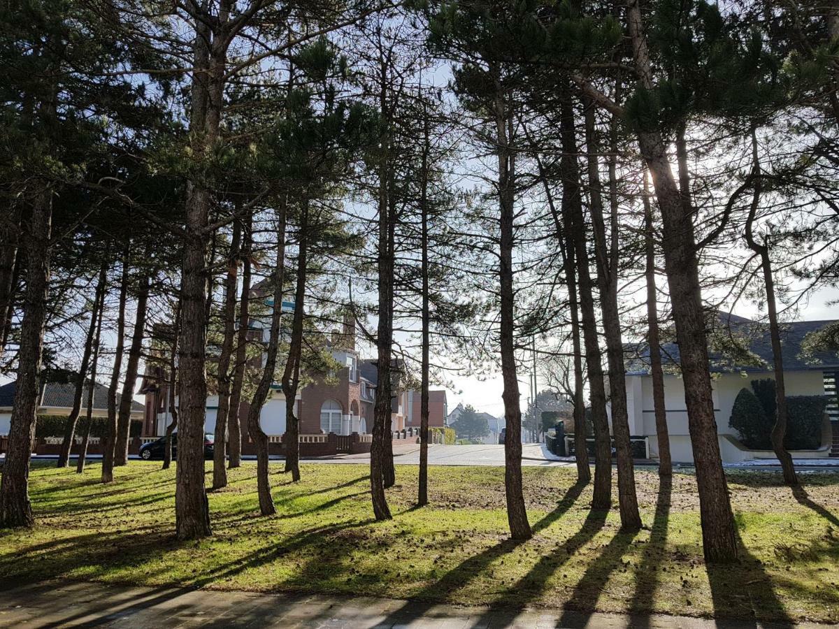 Apartament Sunny Days - App 60 M2 Avec Balcon, 4 Pers, 3E Etage, Au Calme Et Ensoleille Le Touquet Zewnętrze zdjęcie